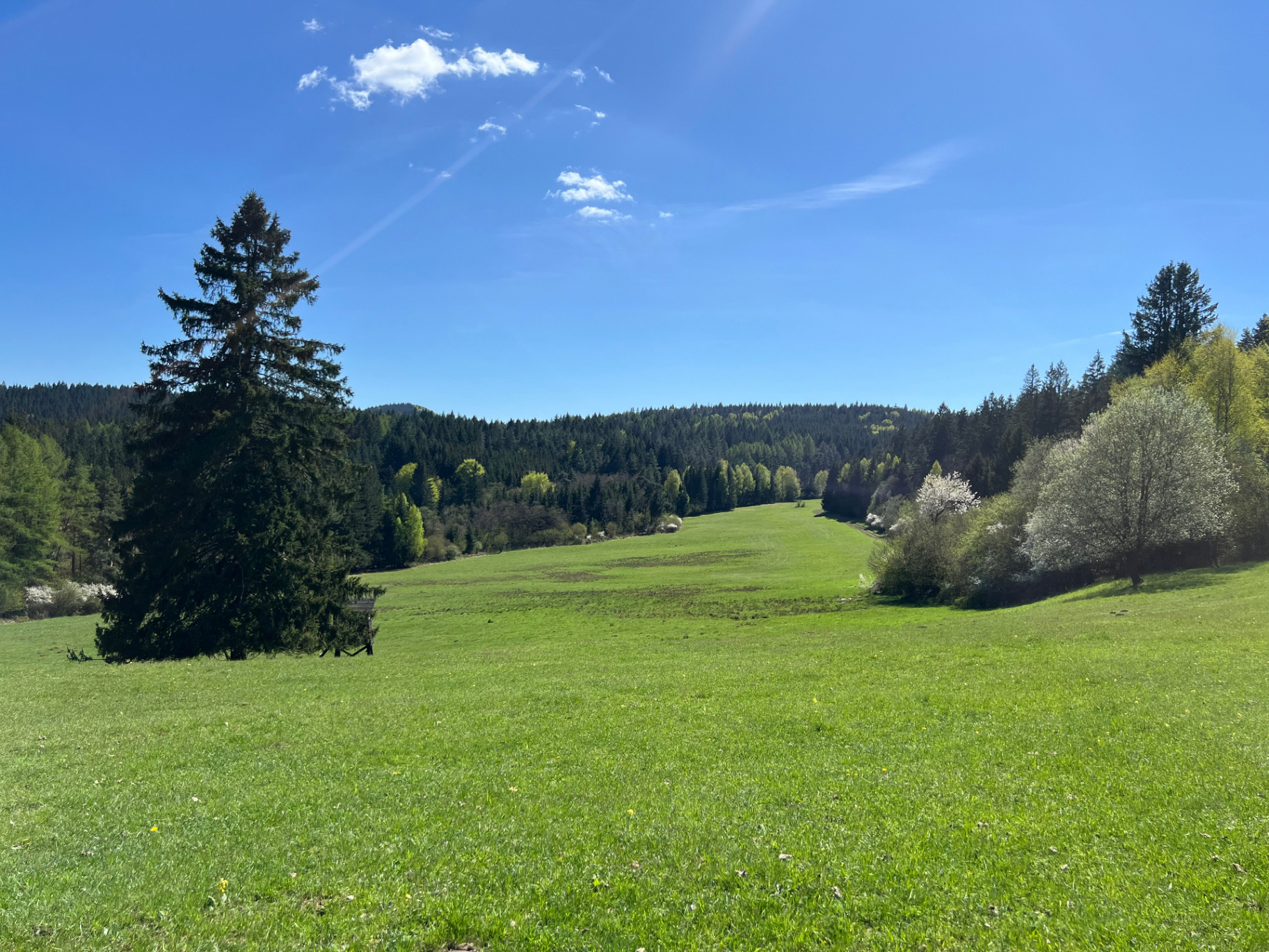 Linden House — útulný rodinný dom na Slovensku